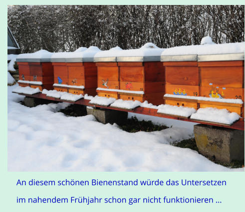 An diesem schnen Bienenstand wrde das Untersetzen  im nahendem Frhjahr schon gar nicht funktionieren 